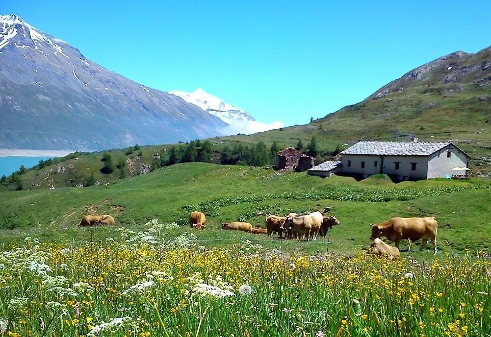 Chalet D'Alpage De Savalin A 2000 Metres D'Altitude Au Lac Du Mont-Cenis Val Cenis